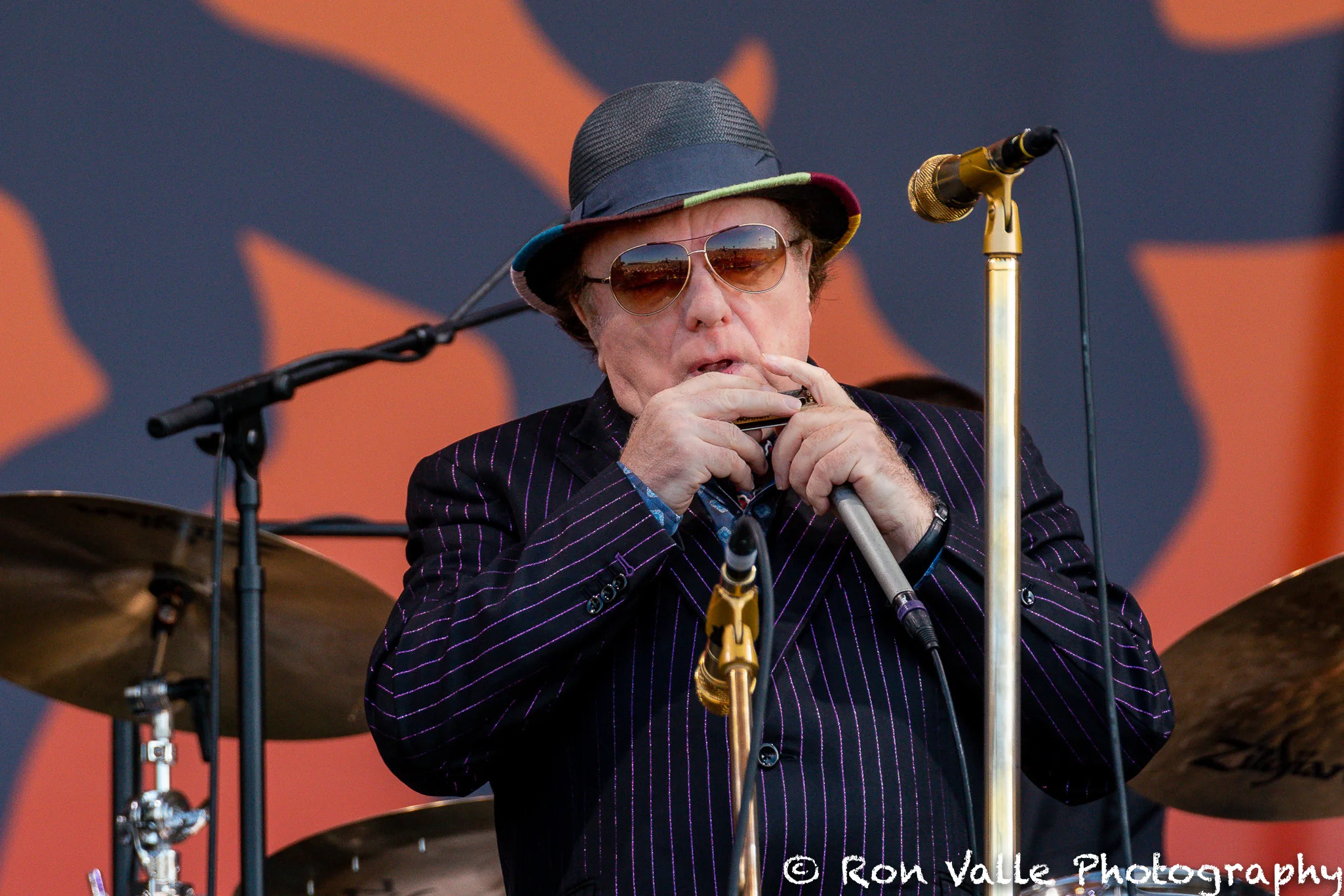 Van Morrison day 4-8625-2.jpg