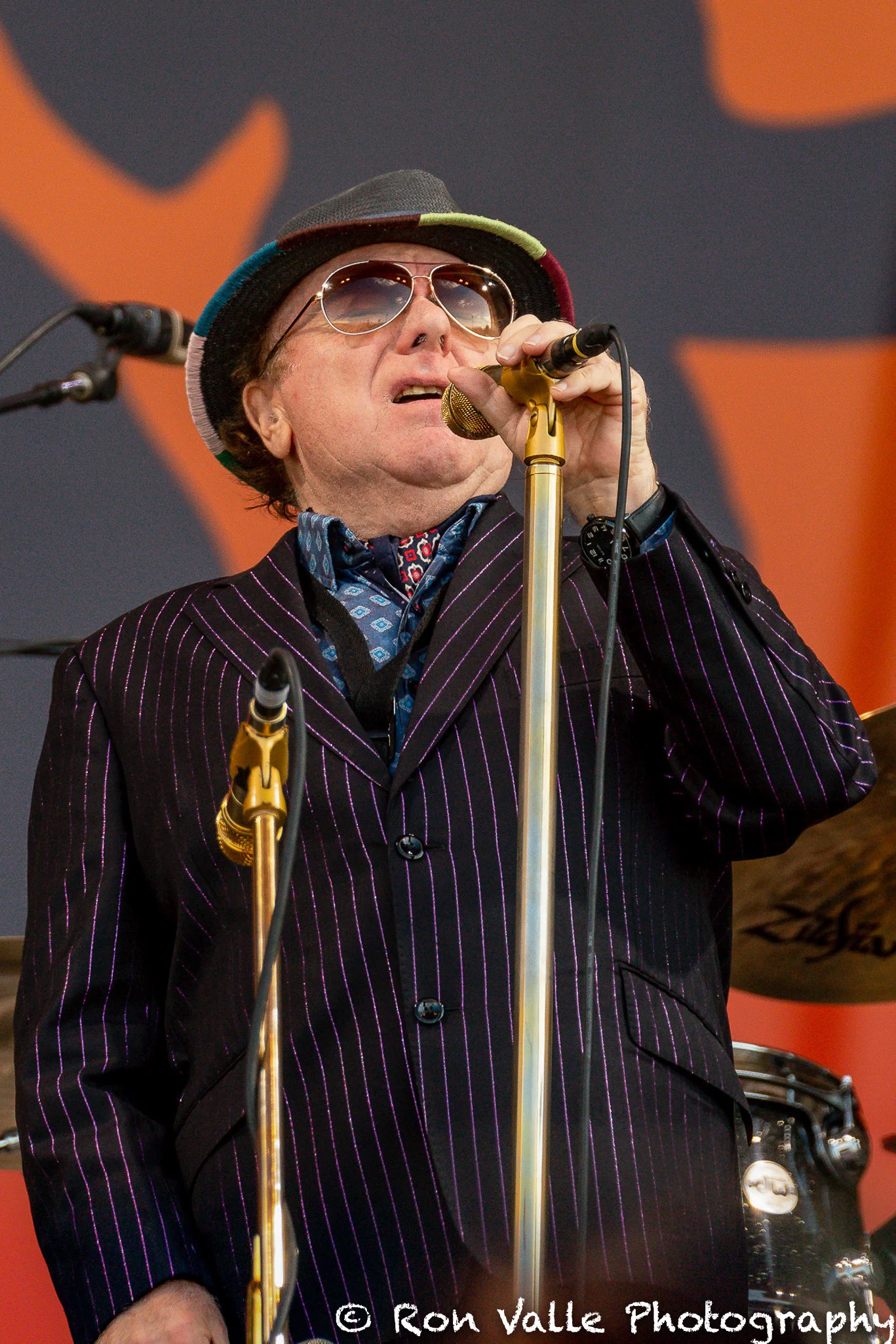 Van Morrison day 4-8586.jpg