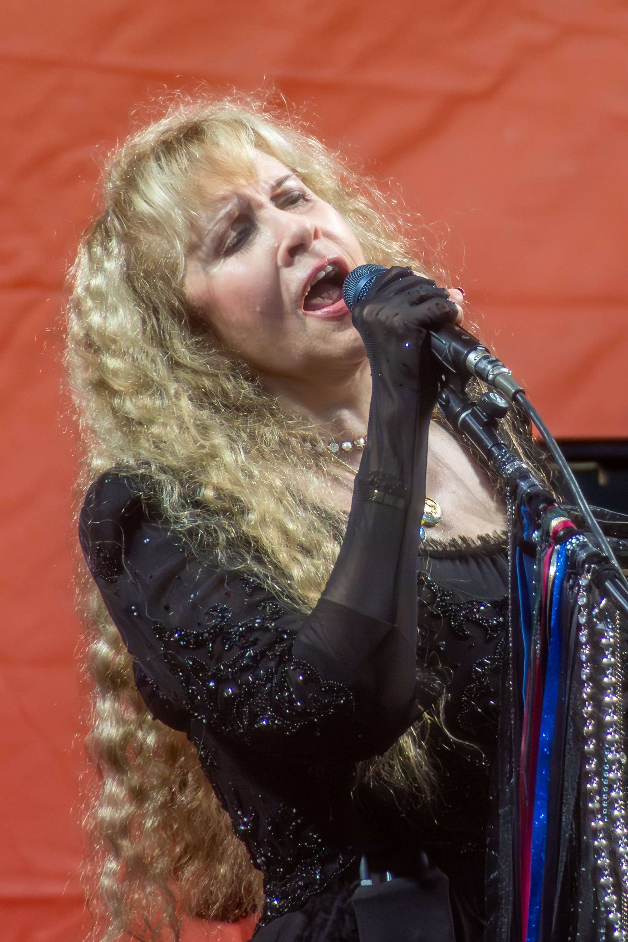 Stevie Nicks, New Orleans Jazz Fest, 2026