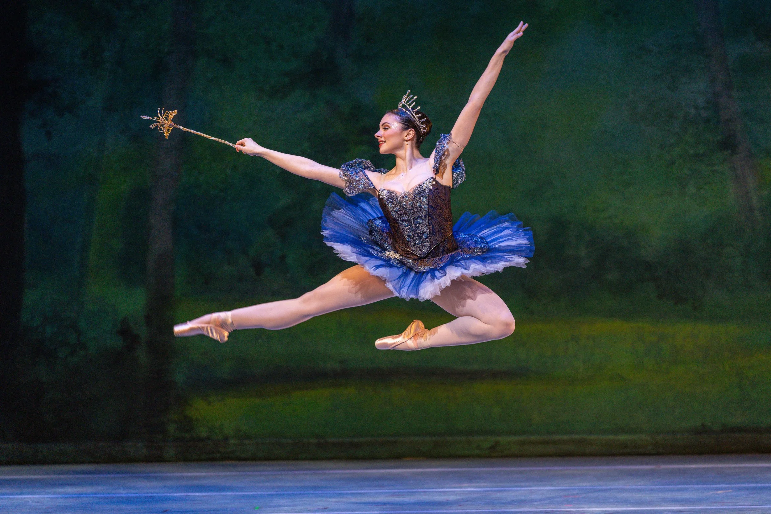 Cinderella Dayton Ballet Valle-06104.jpg