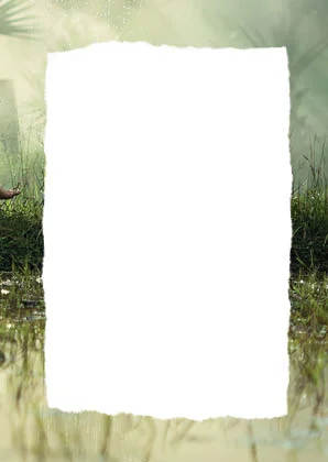 Seeds Banks Cards Variants2.jpg