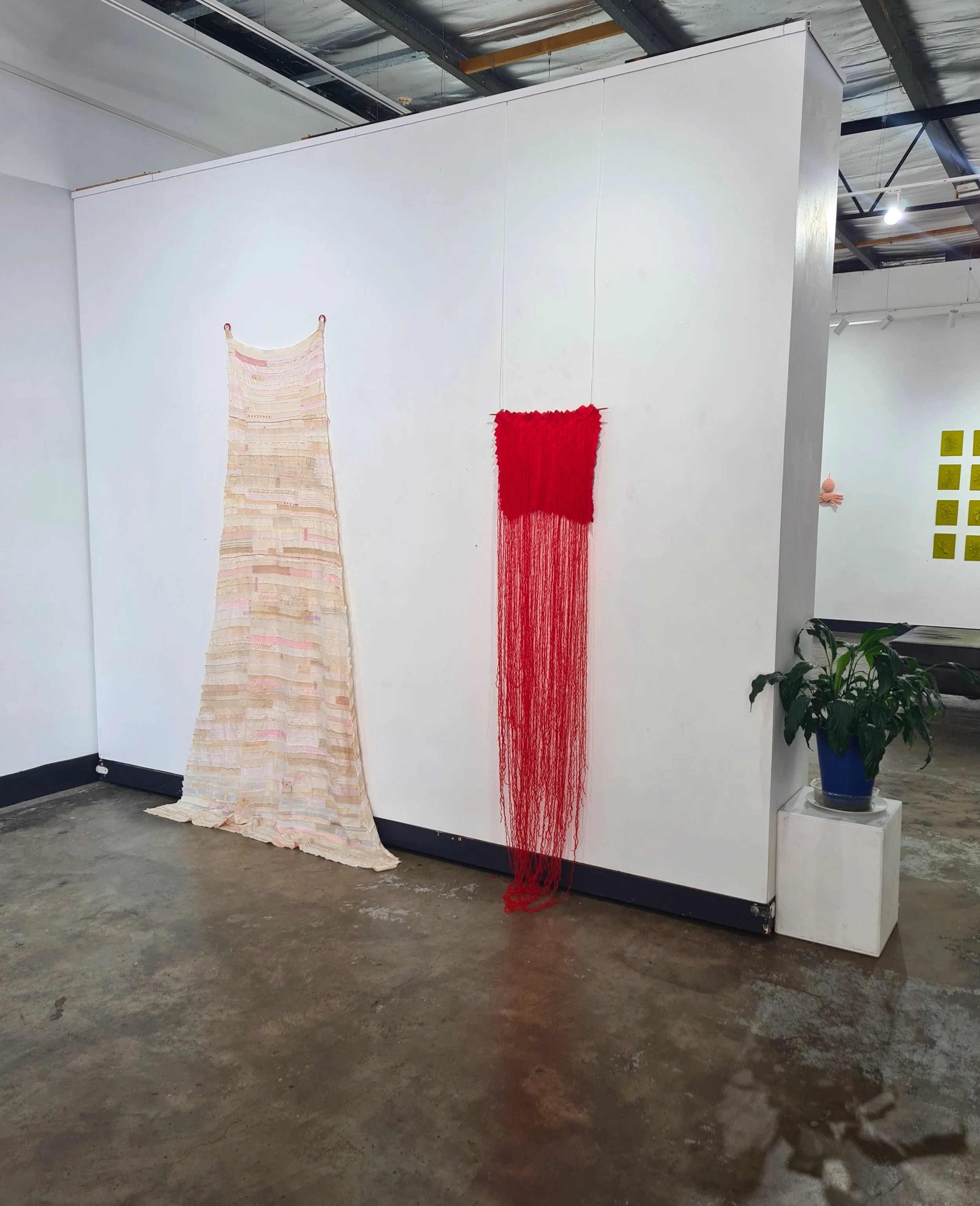 Installation view, Project Contemporary Artspace, Wollongong.