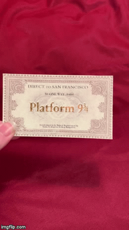 Cursed Child Play Wizard Acceptance Letter