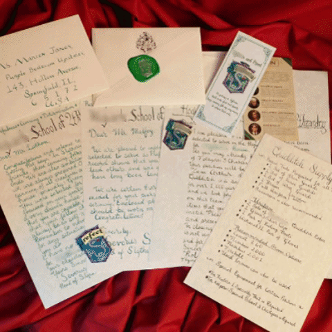 slytherin house set gif.gif