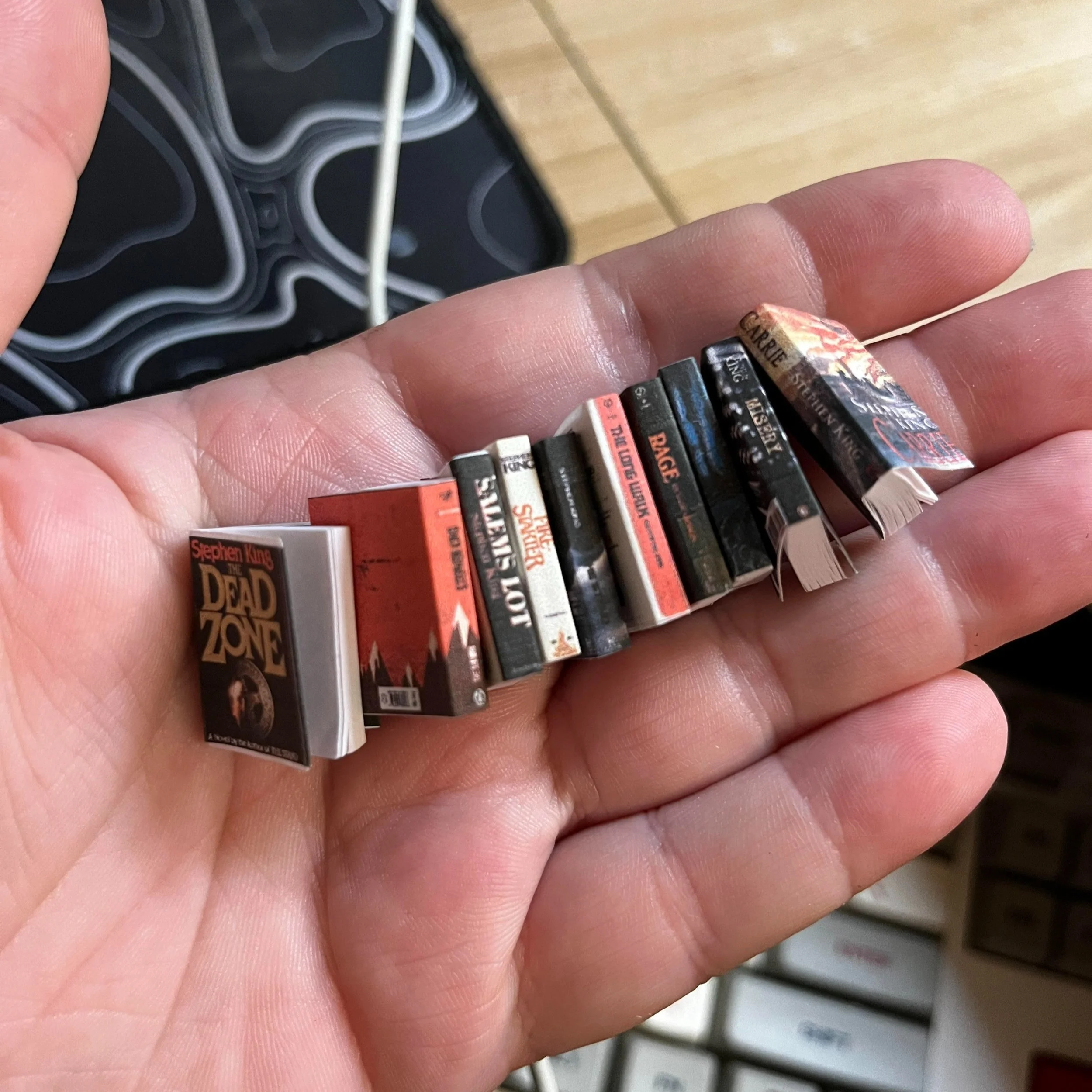 Mini Books!