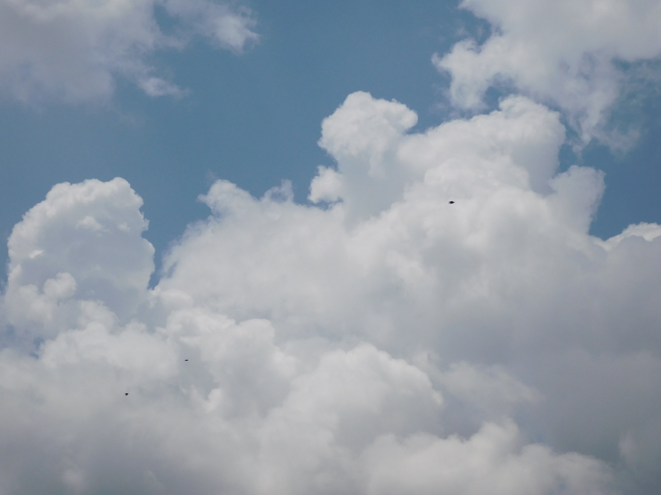 dscn0139.jpg