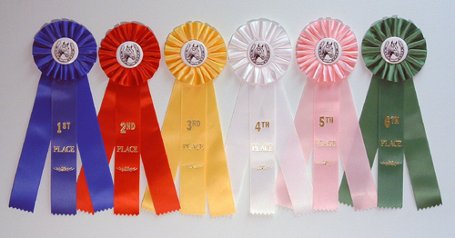 ribbon.jpg