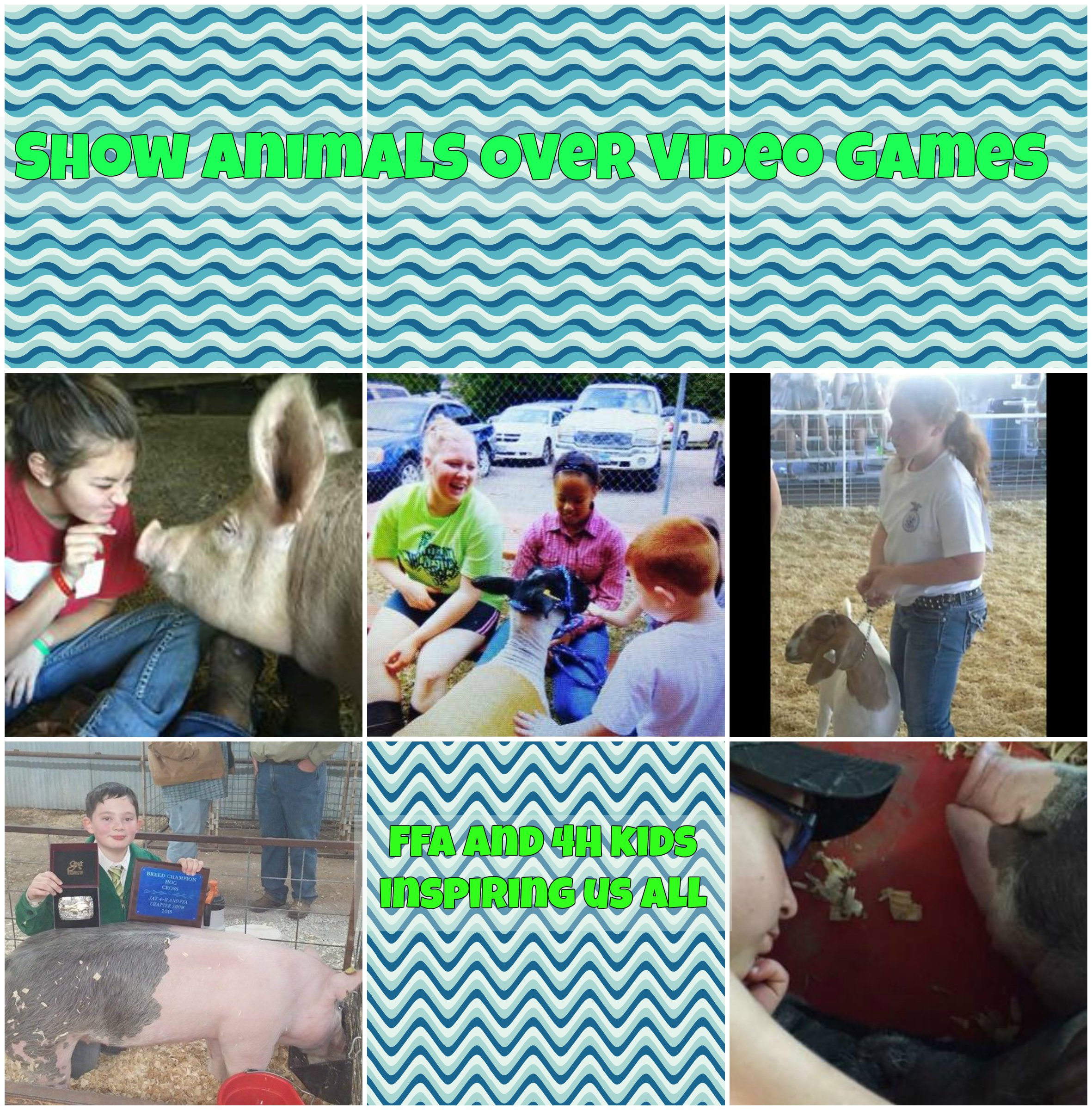 show-animals.jpg