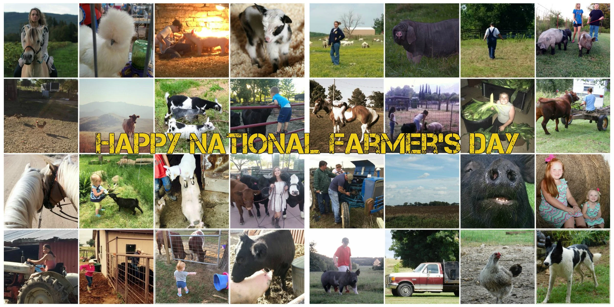 national-farmers-day.jpg