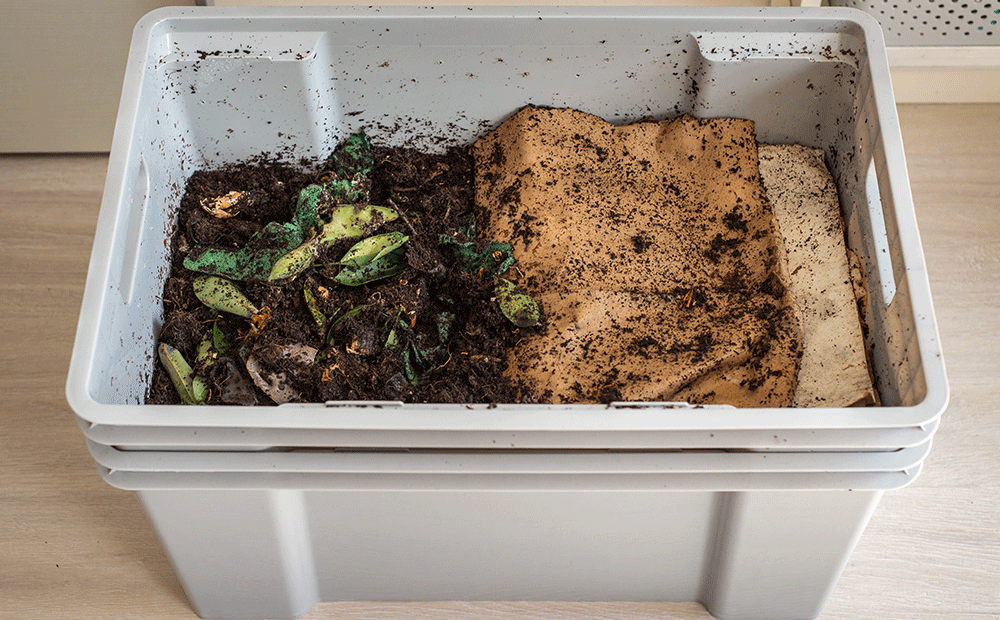 Dammann's Garden Company – Worm Composting for Your Garden