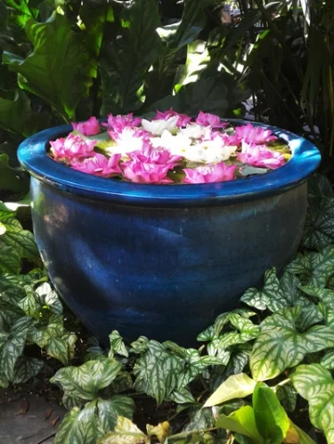 Water-Garden-Container.jpg