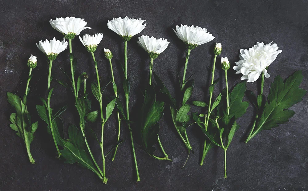header.jpg