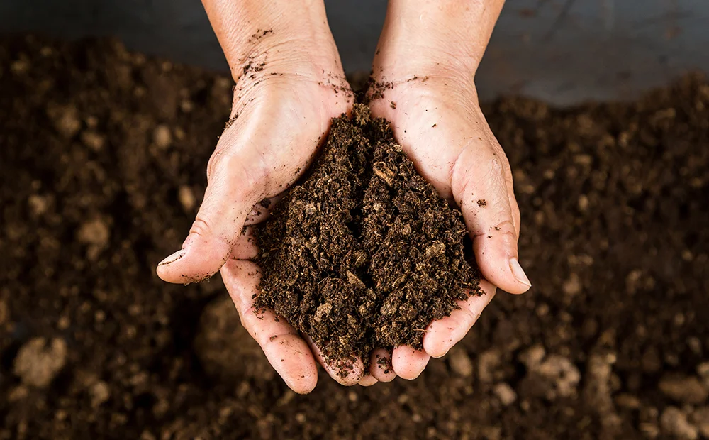 war-on-weeds-compost-healthy-soil.jpg