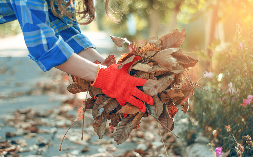 fall-cleanup-checklist-leaves.jpg
