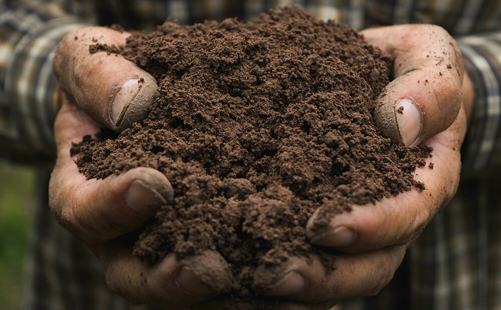 Dammann&#39;s Garden Company – HOW TO IDENTIFY YOUR SOIL TYPE