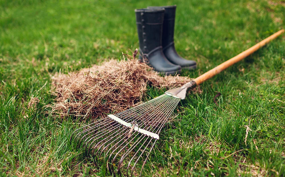 5 TOP TASKS TO PREPARE YOUR GARDEN FOR SPRING