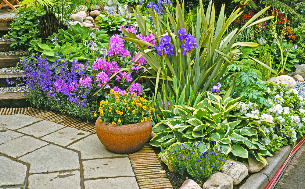 The Best Landscape Plants To Plant Now, New Roots Landscaping And Plant Nursery