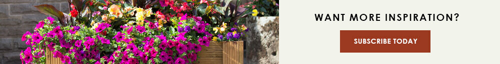 Dammann's Garden Company – Thrillers, Fillers & Spillers: How to Design a  Stunning Spring Planter