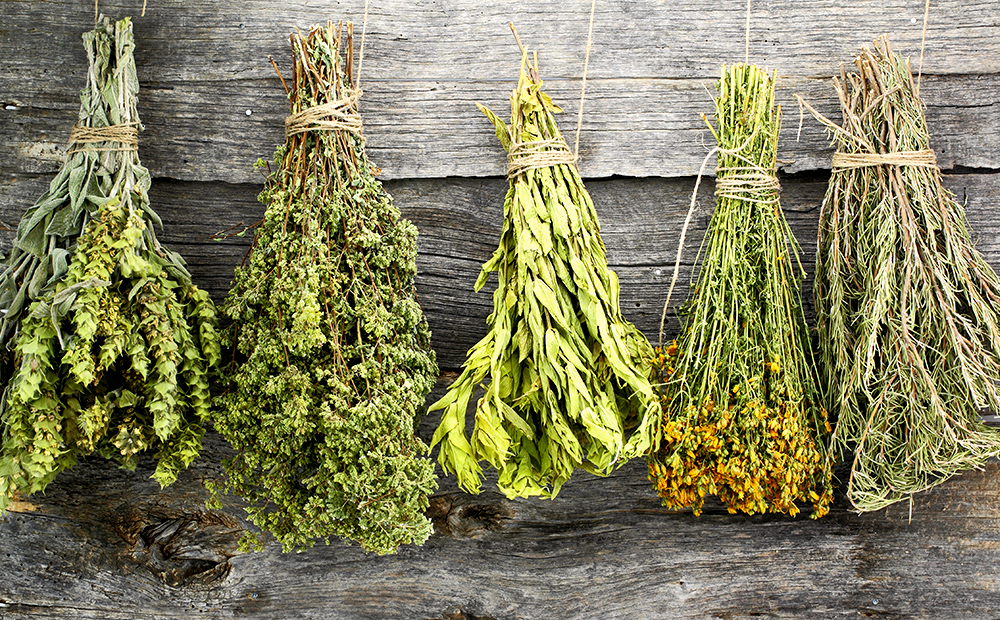 How Can You Make Your Herbs Last as Long as Possible? 