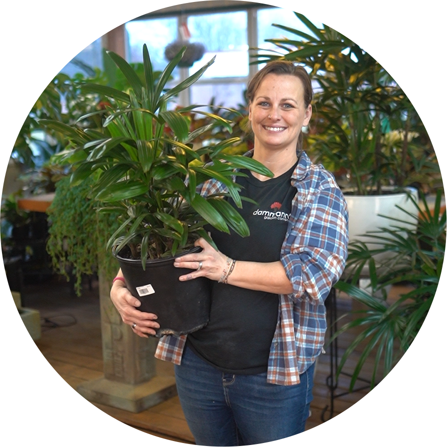 Becca Smith#Customer Service,#Houseplants