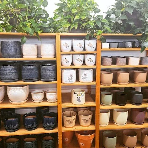 Your houseplants deserve a beautiful home, and we&rsquo;ve got just the thing.⁠
⁠
Our newest pottery collection is here, and it&rsquo;s packed with stylish options in every size, texture, and color. ⁠
⁠
Come in and find your next favorite combo!