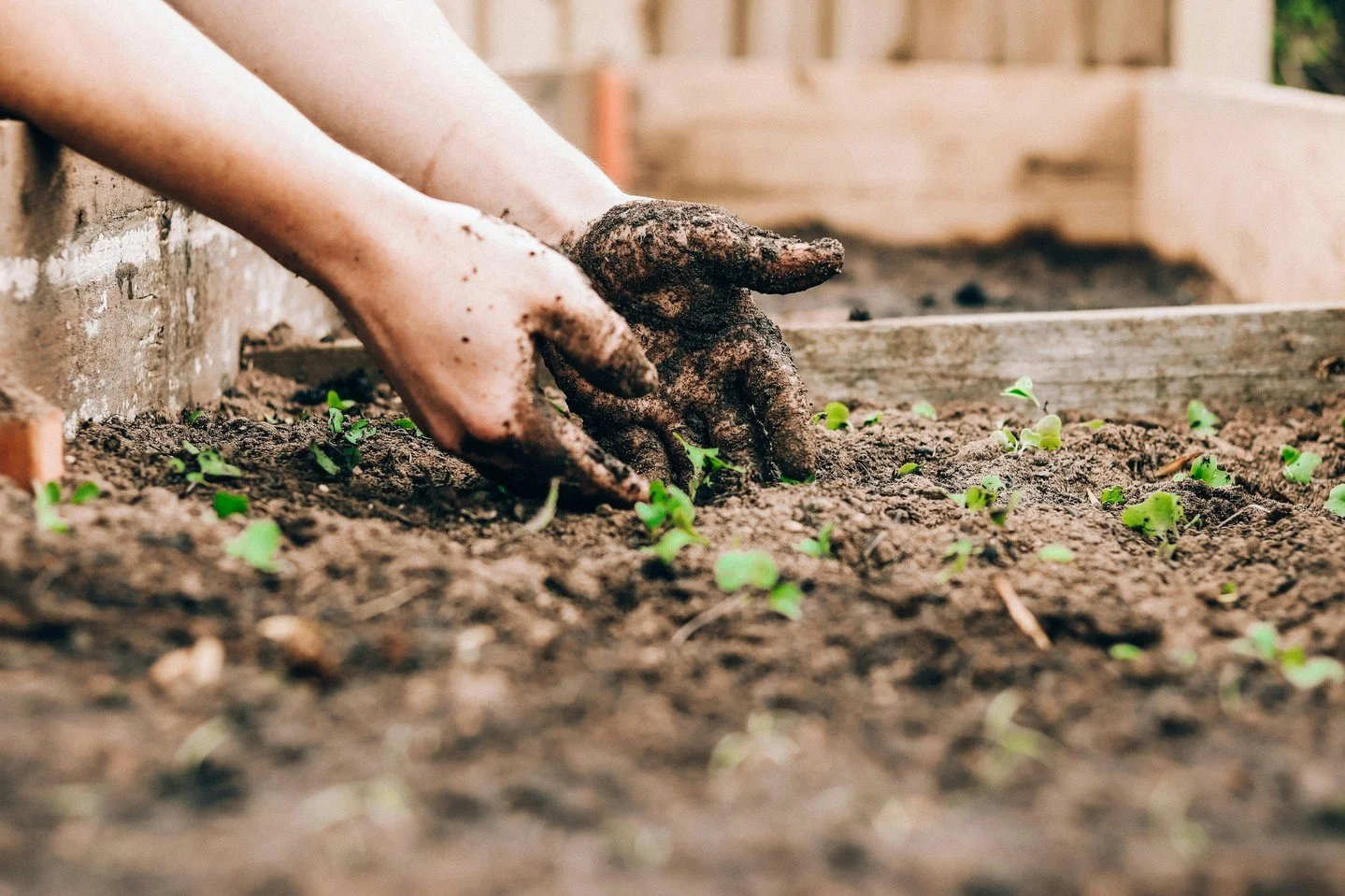 While most people think spring is planting season, late summer and fall are actually some of the best times to get new plants in the ground.⁠
⁠
Here&rsquo;s why:⁠
⁠
Cooler temperatures mean less stress on plants and more comfortable conditions for yo