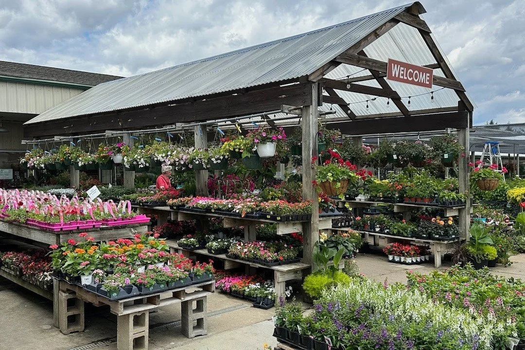 Garden Dollars are store credits you earned earlier this season, redeemable like cash on almost everything in the garden center.⁠
⁠
Redeem by: August 31, 2025⁠
Where: In-store checkout (just bring them with you)⁠
Why now: Stack them with sale prices 