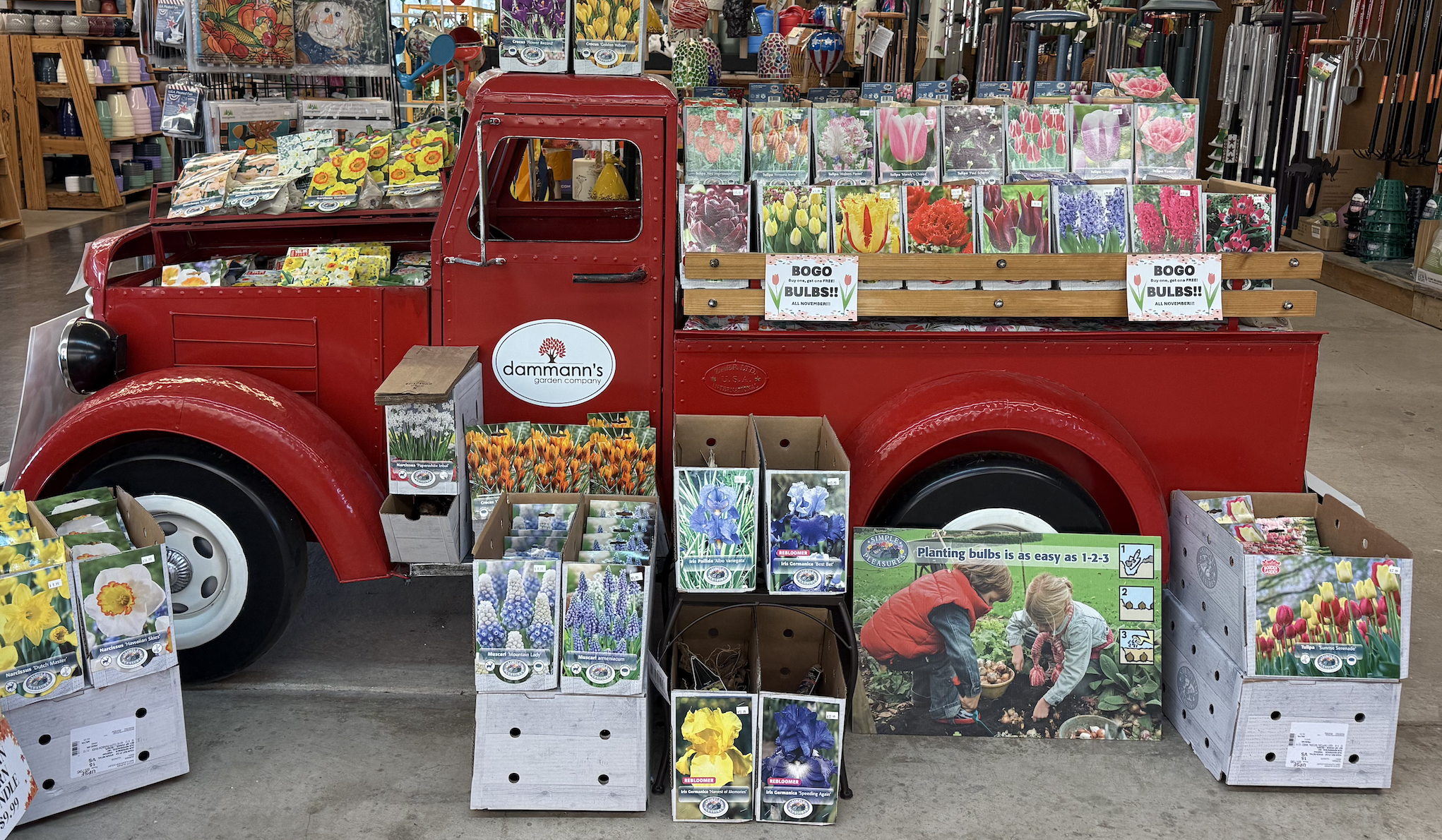 BOGO Bulb Bonanza!