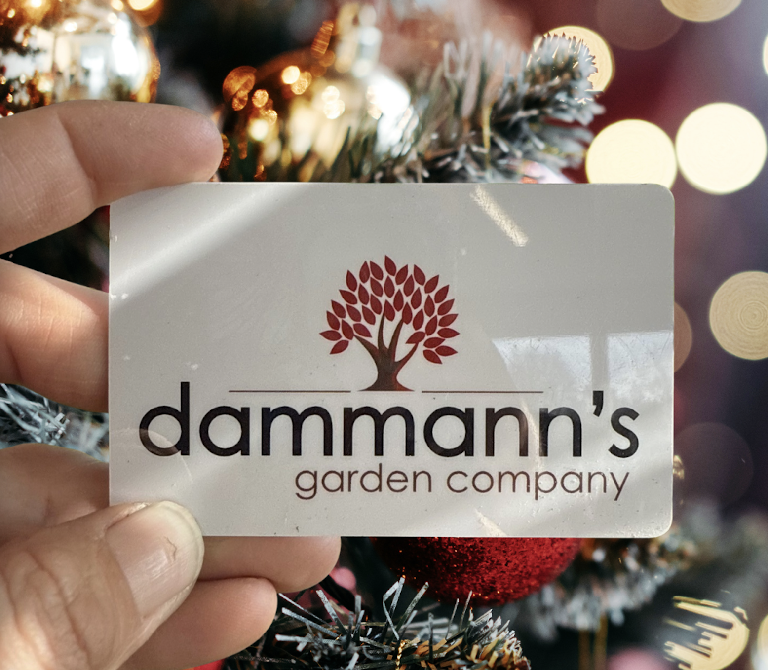 Small Business Saturday: FREE $10 gift card with every purchase of $100 in gift cards
