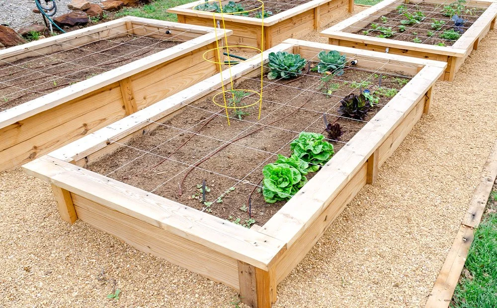 DIY SERIES: HOW TO BUILD A RAISED GARDEN BED IN 6 STEPS