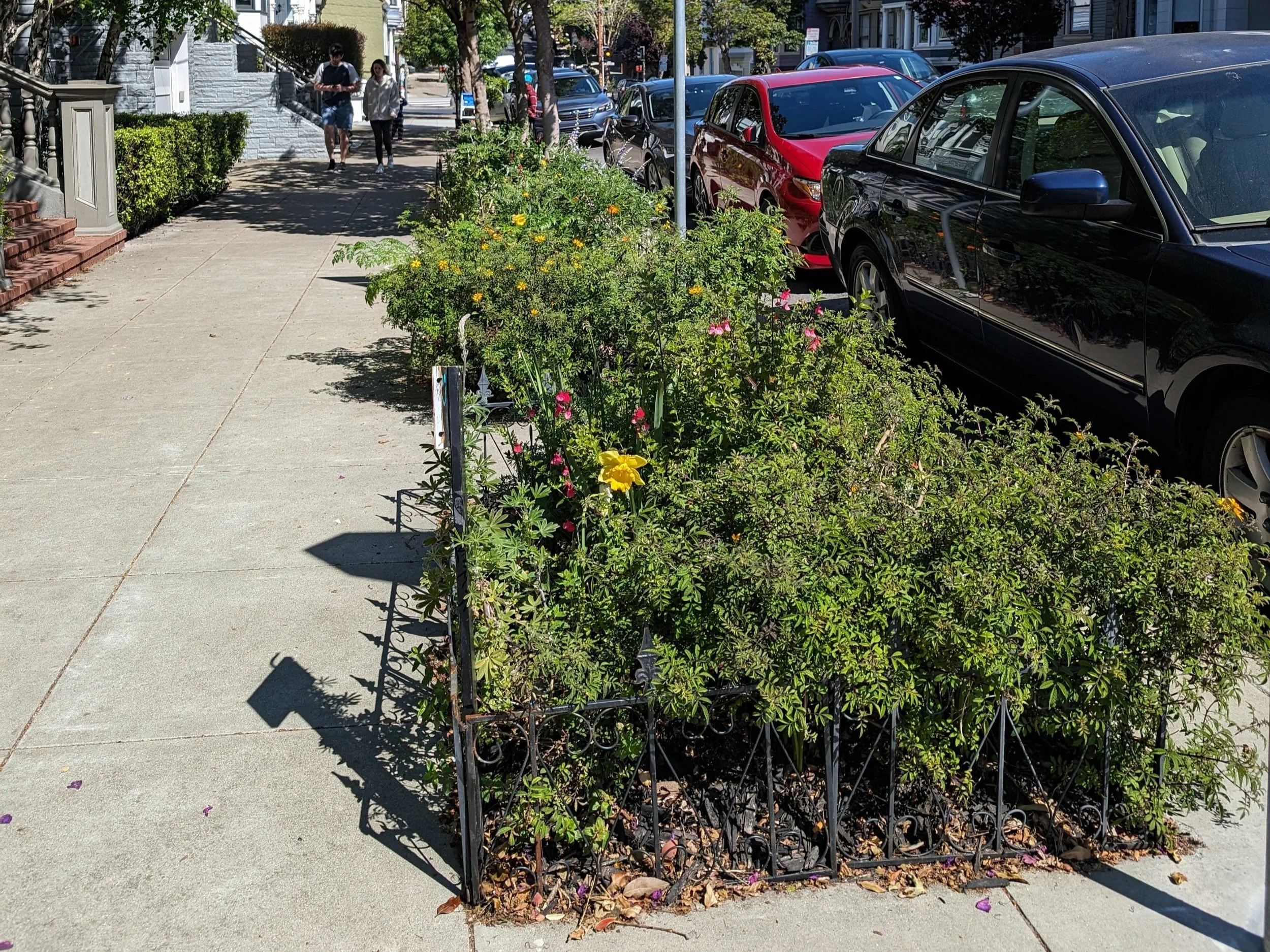 Beautify NOPA with More Sidewalk Gardens — NOPNA
