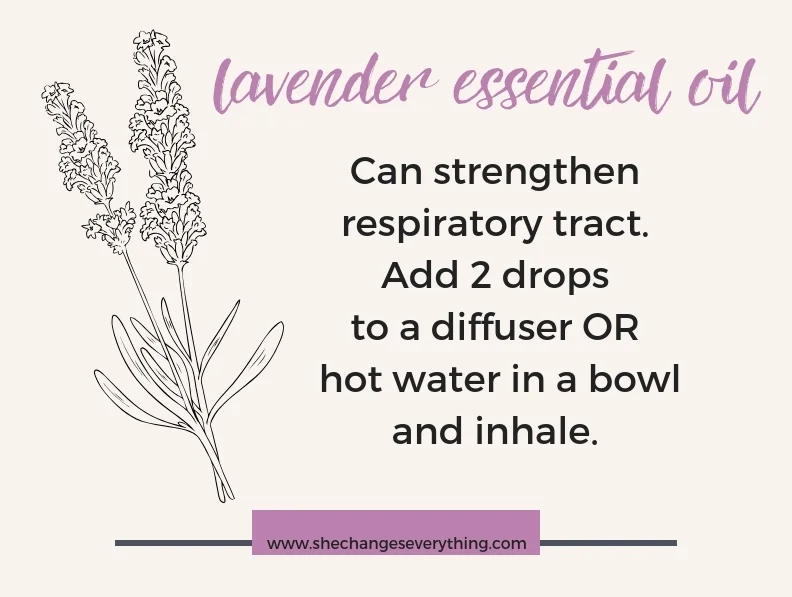 Respiratory System (1).jpg