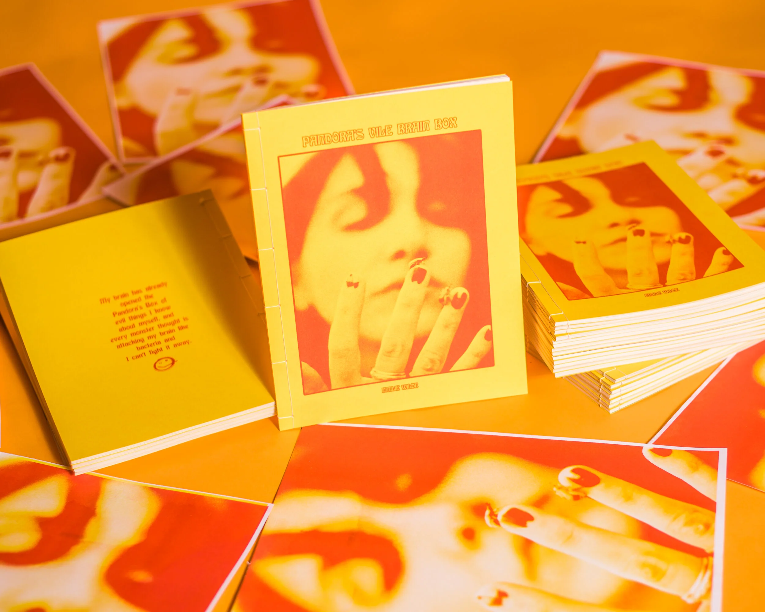 PandoraBookPhotosToned-1.jpg