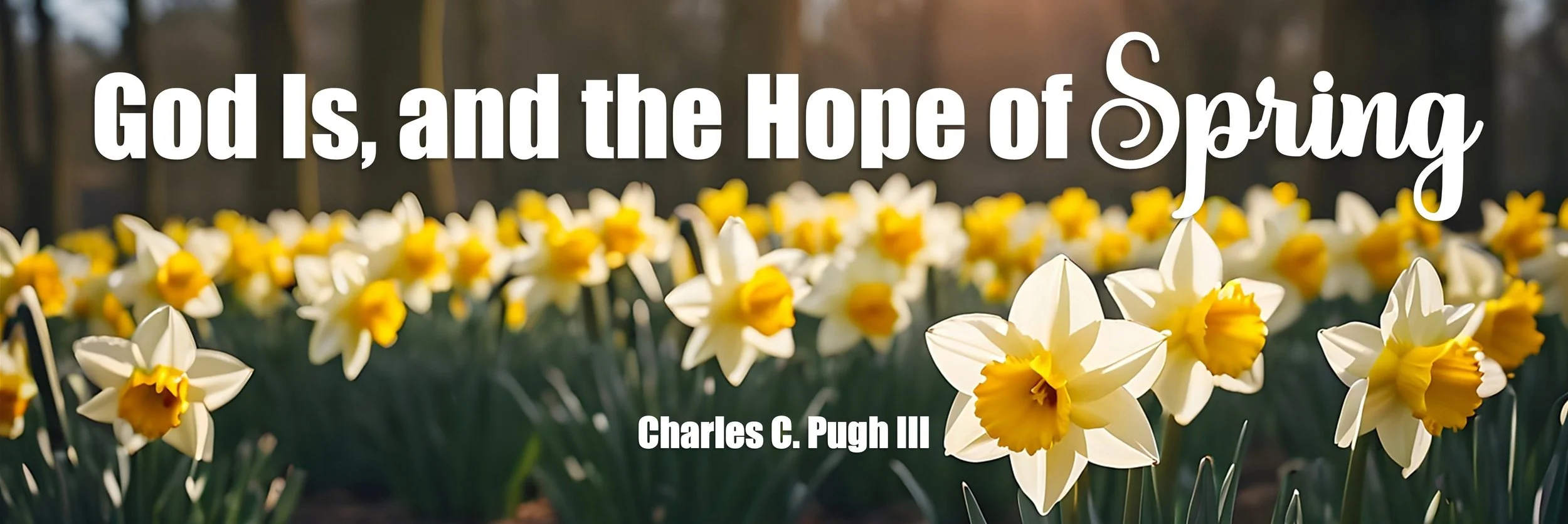 3.20.26 carousel graphic.jpg