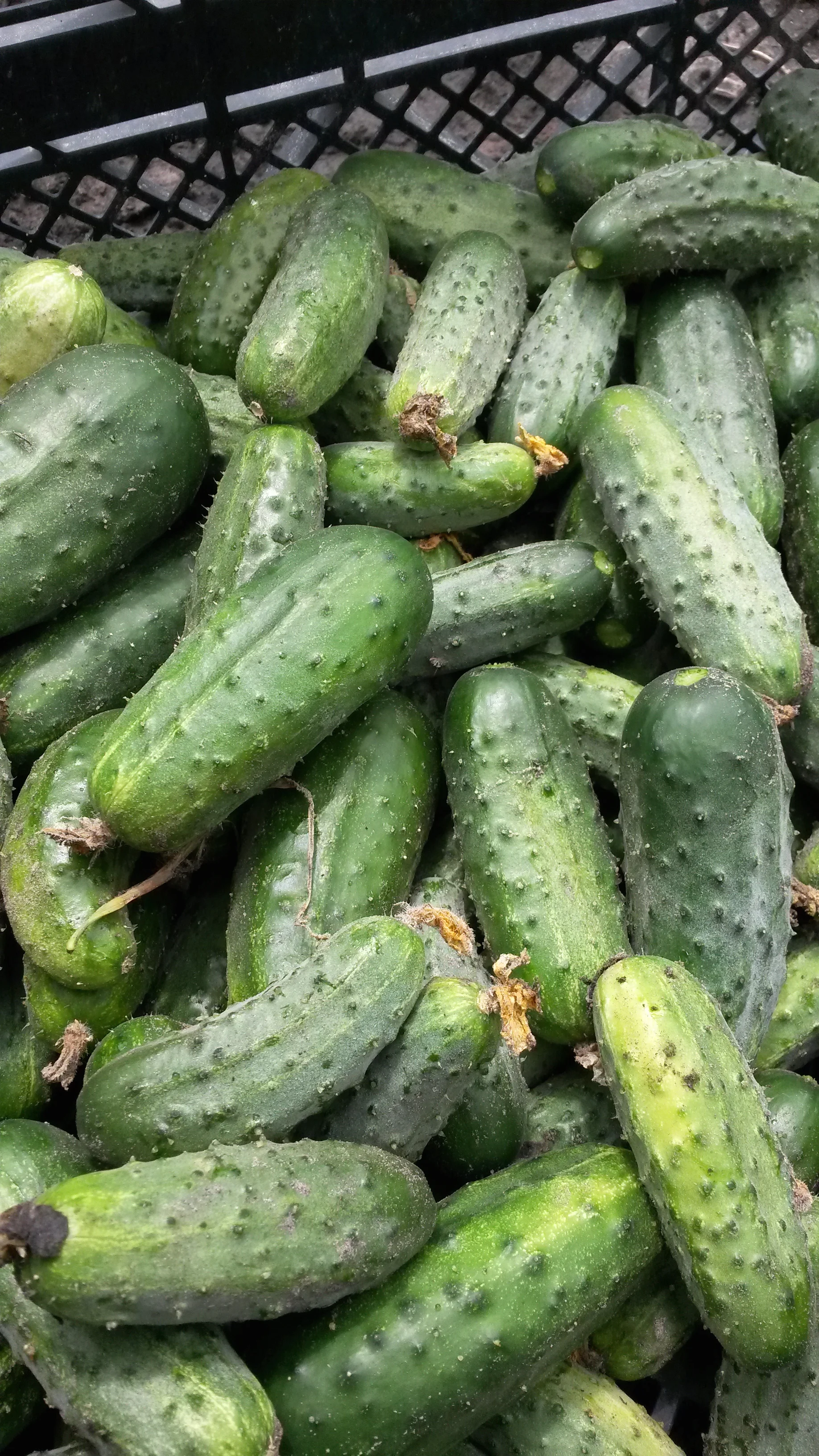 20160712_135538.jpg