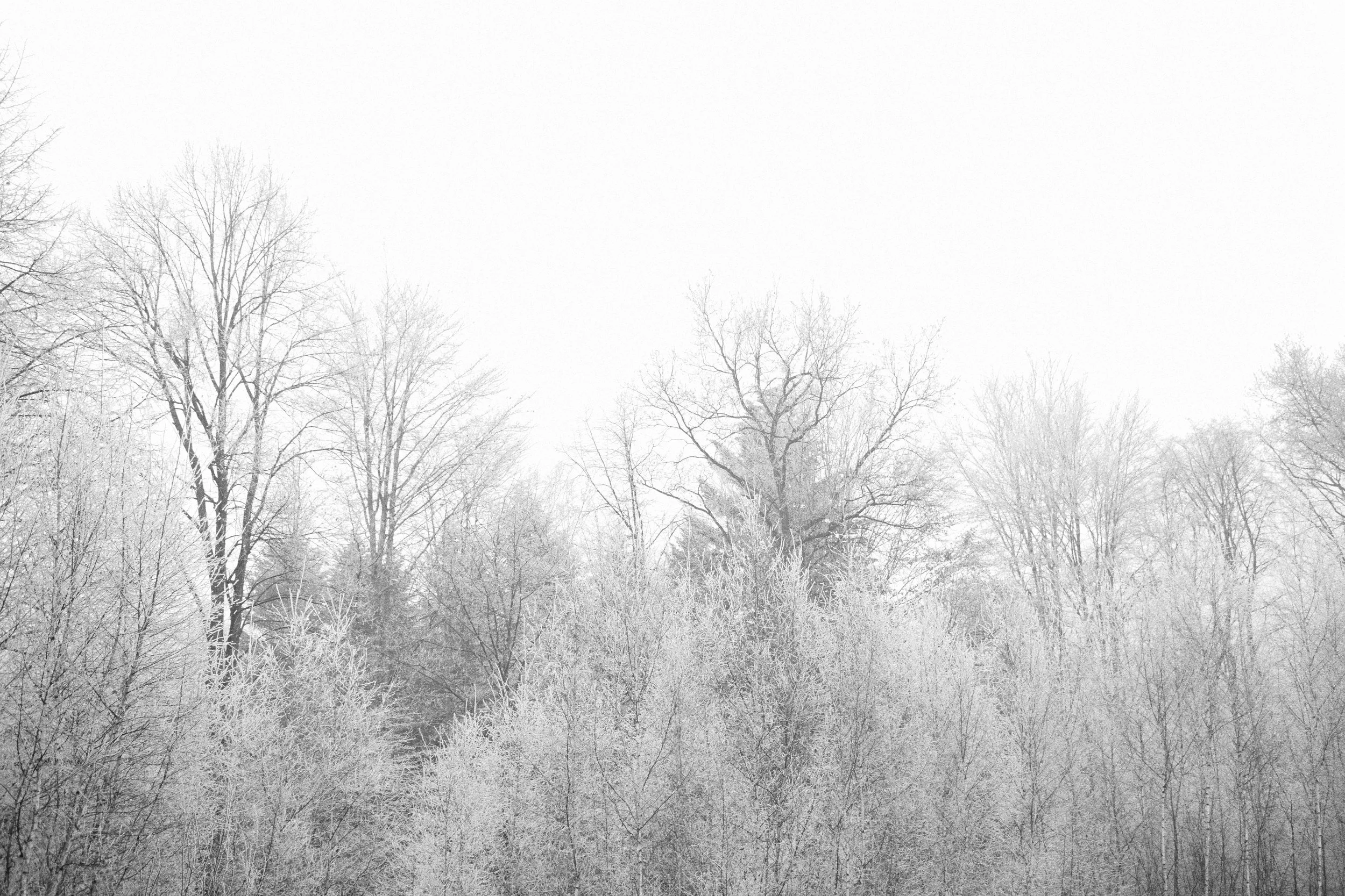 photo-1418017727575-3b7bbab92cb8.jpeg