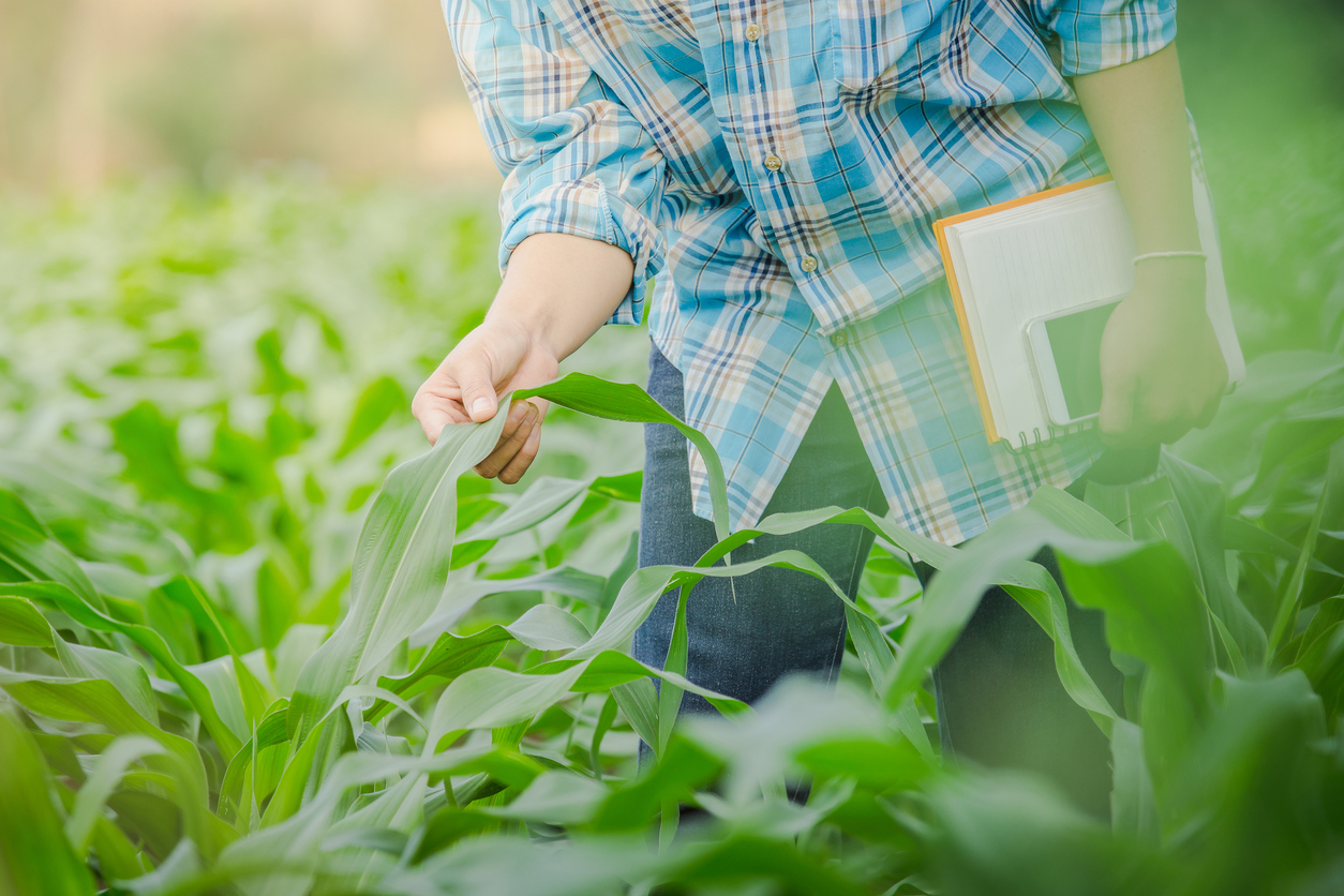 Why Millennials Should Invest in Agriculture — Harvest Returns