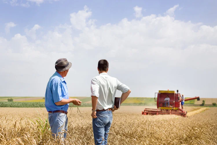 2 farmers in wheat field with combine harvesting in the background