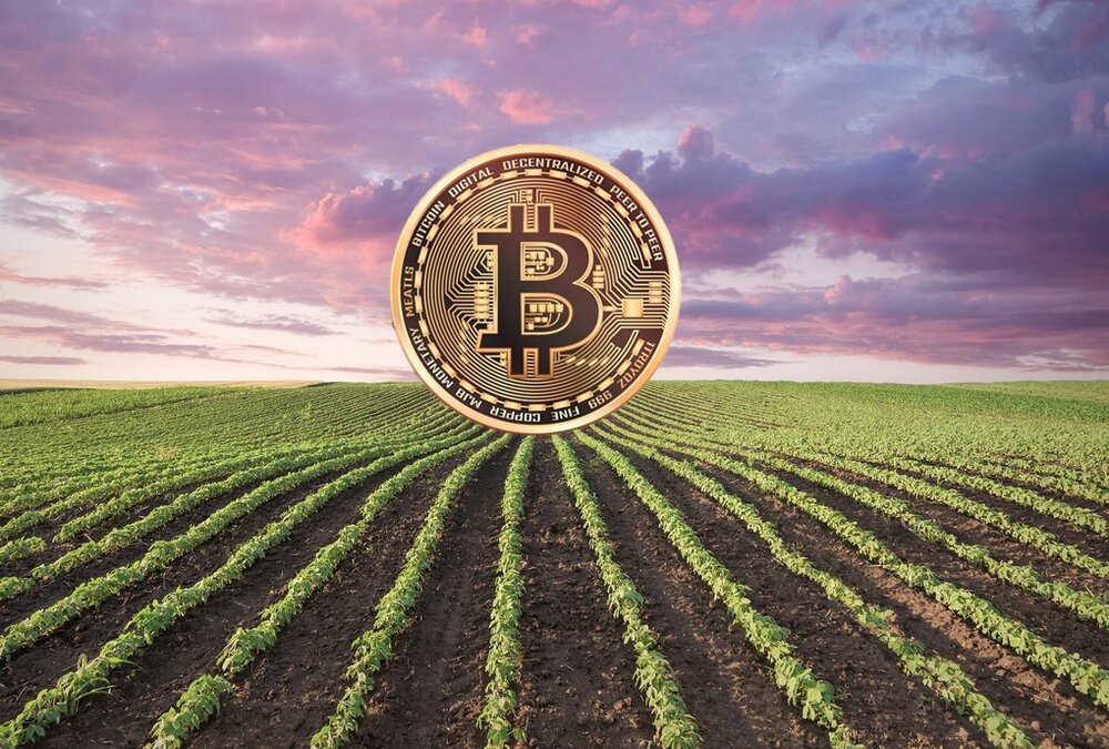 Btc harvest setting up a computer to mine bitcoins on iphone