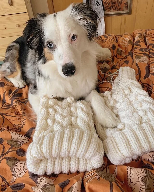 Working on some long over due stockings, but Atlas has other plans for our lazy Sunday ❤️🎾⠀
.⠀
.⠀
Since the start of quarantine I have accomplished 2 of my 5 main goals! ⠀
⠀
1. I finished the magic cake I have had waiting on my scrappy blanket for a