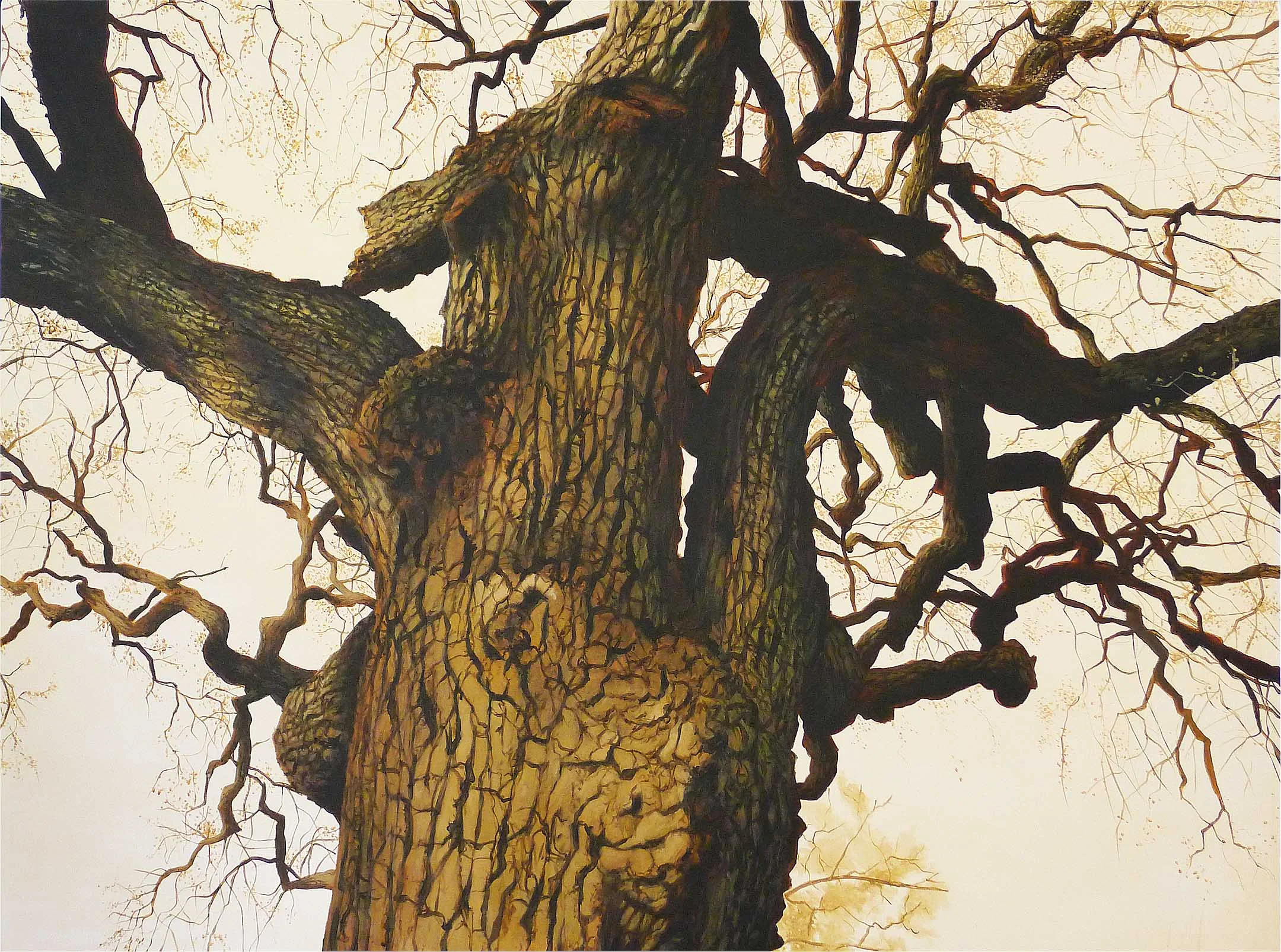 Old tree painting.jpg