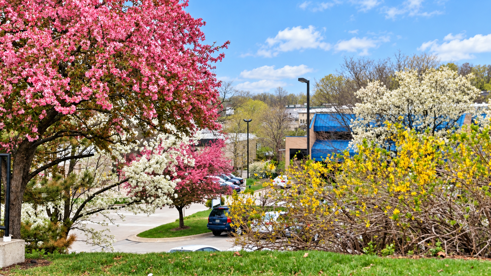 spring brightened.png