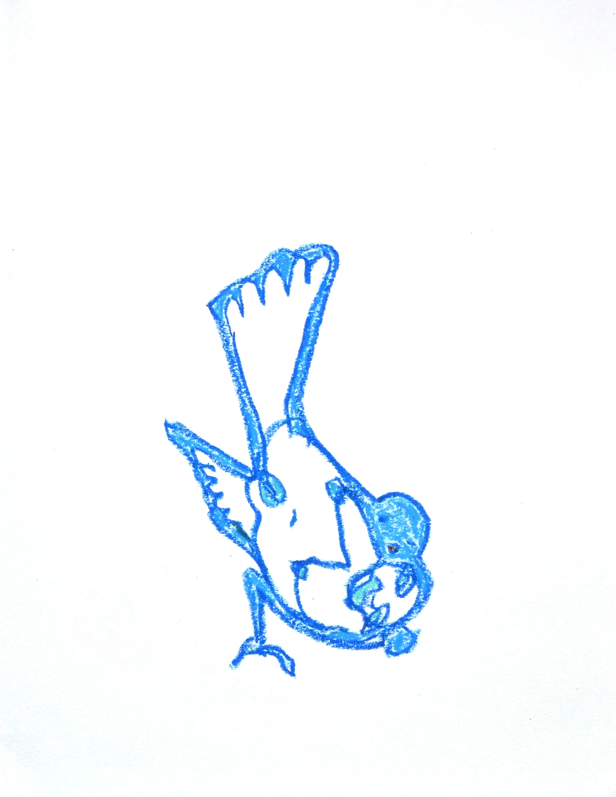 bird , 2018. Oil Pastel. 14 x 11 in.