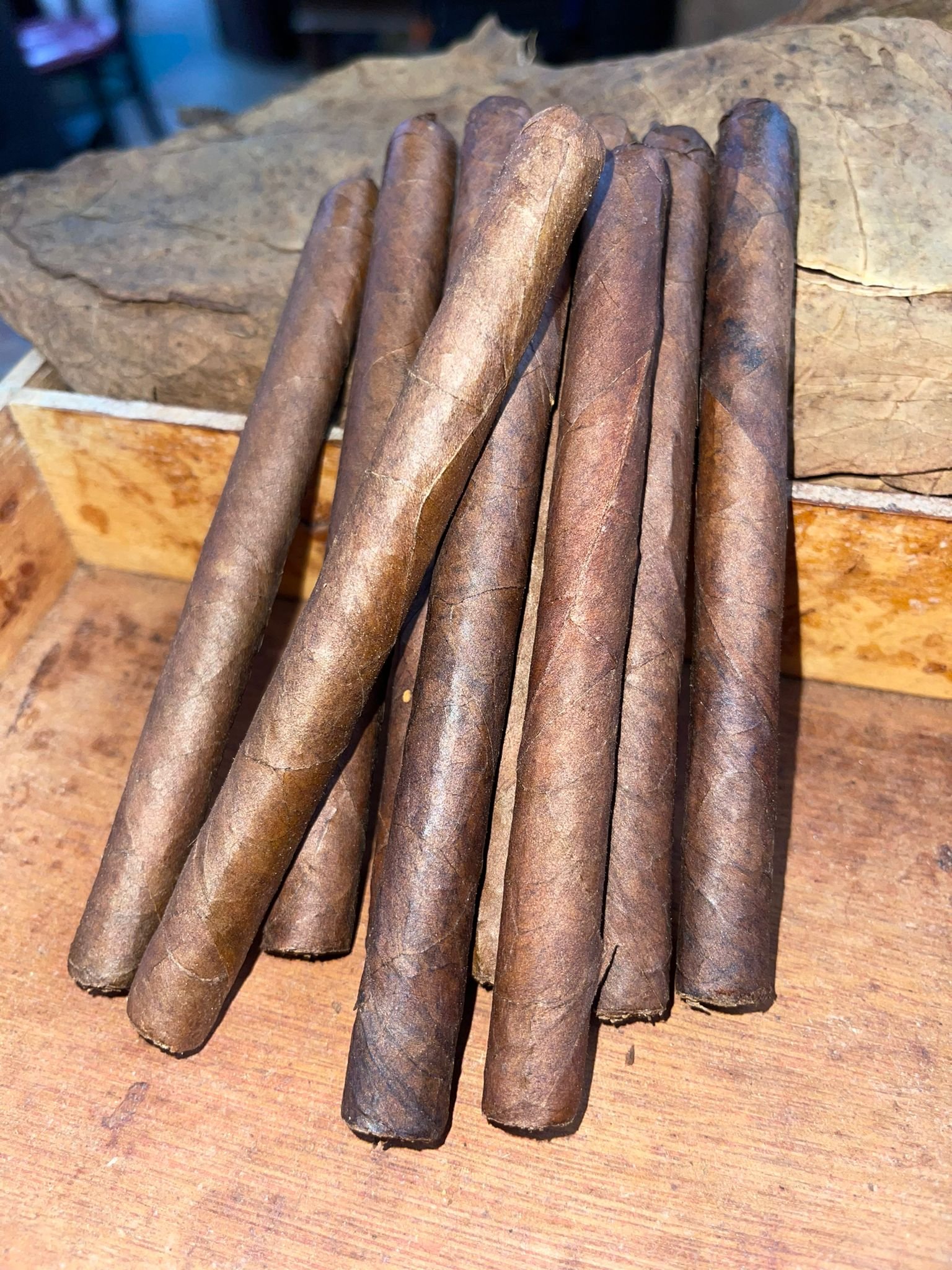 LCG SHORTS MADURO