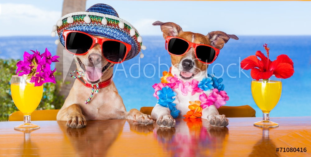 AdobeStock_71080416_WM.jpeg