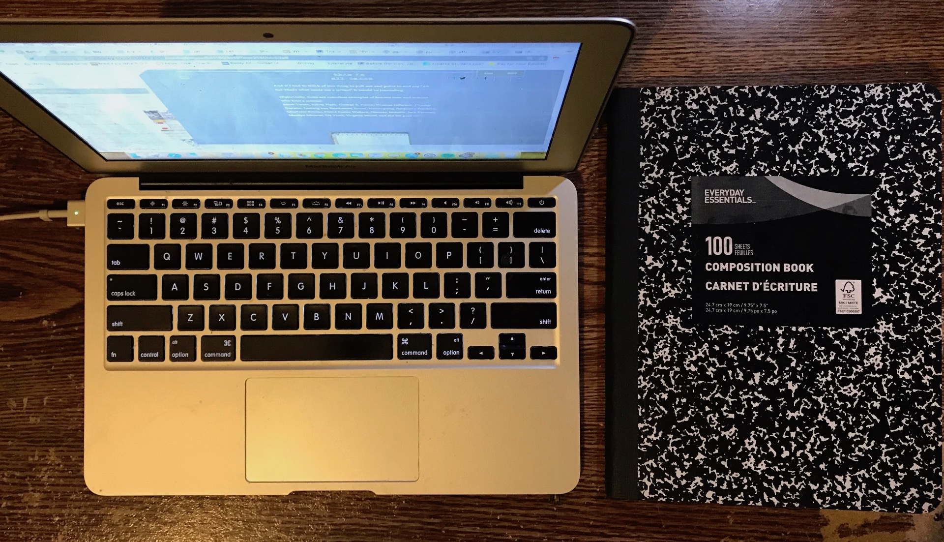 A Writer's Perspective: The Importance Of Journaling In Finishing My First Novel