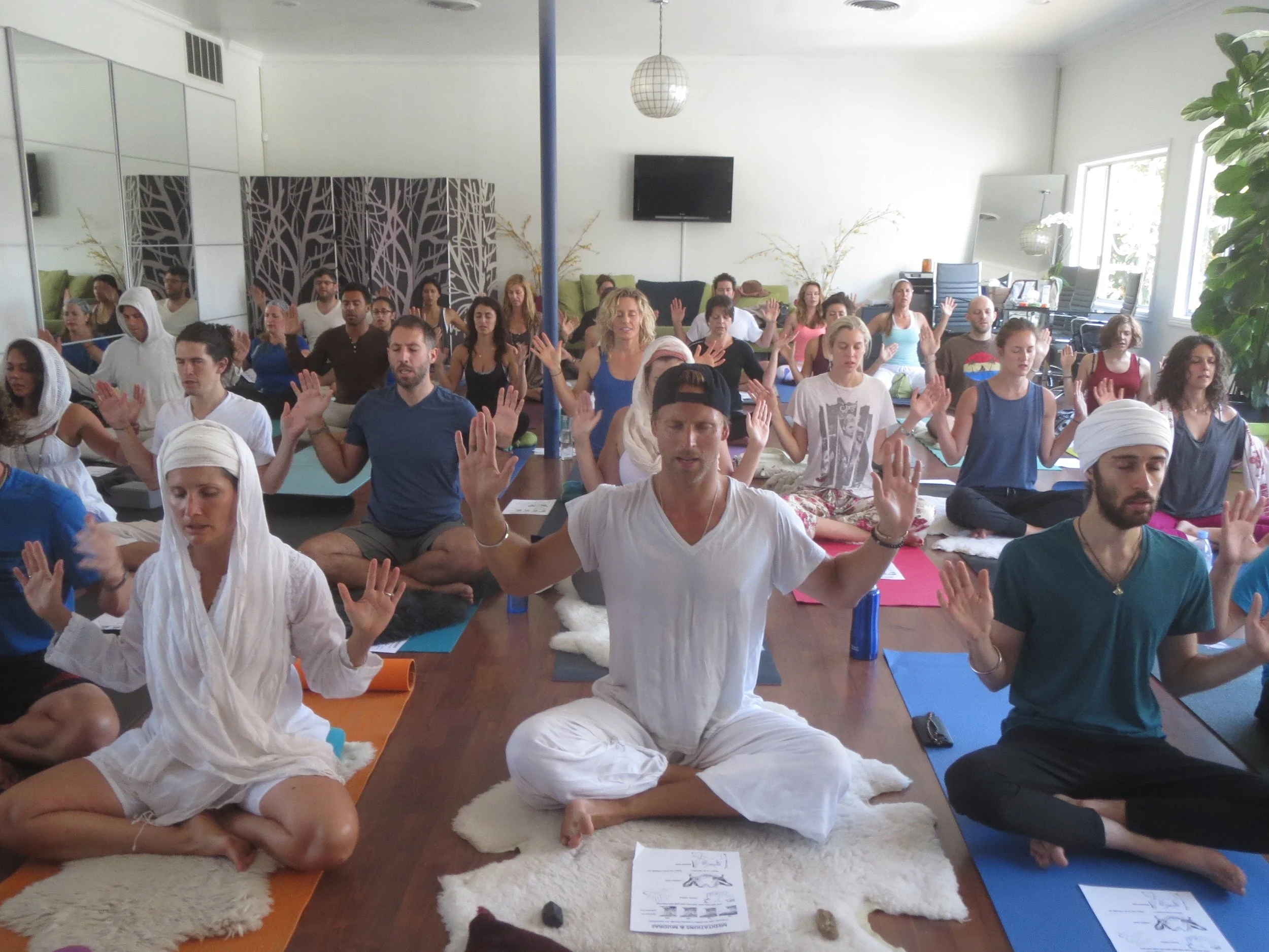 Harnessing group energy in powerful mantra/pranayam meditations.