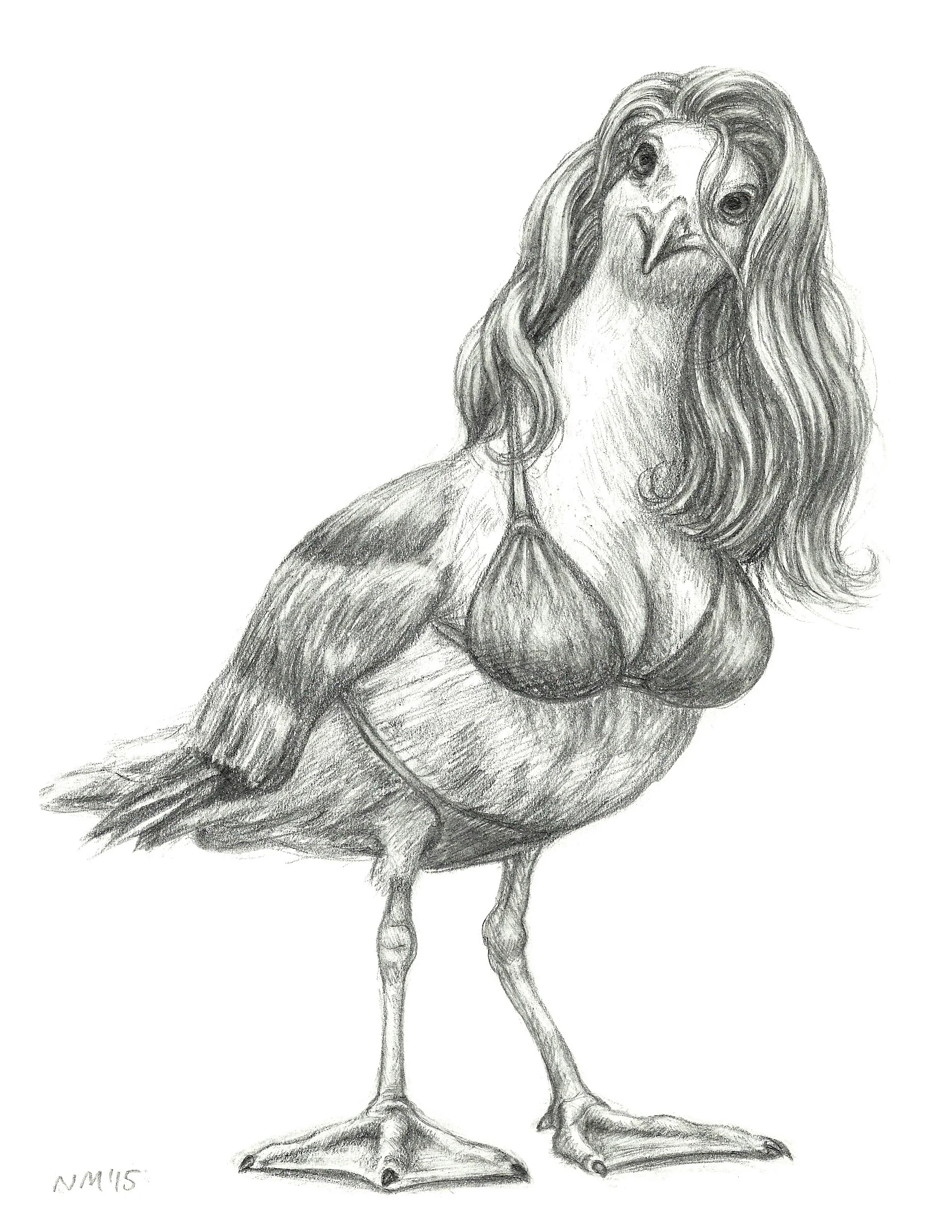 Flirty Seagull