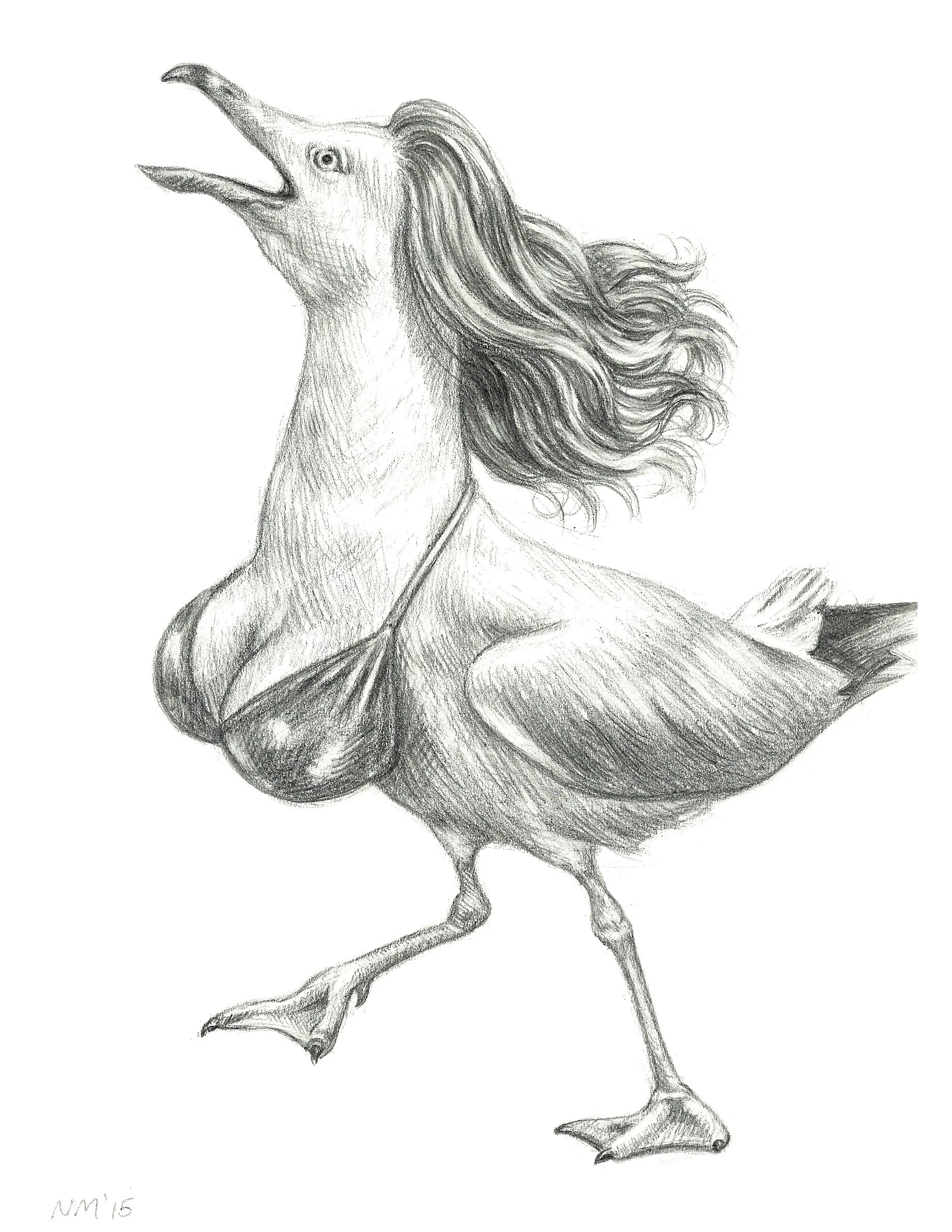 Frollicking Seagull