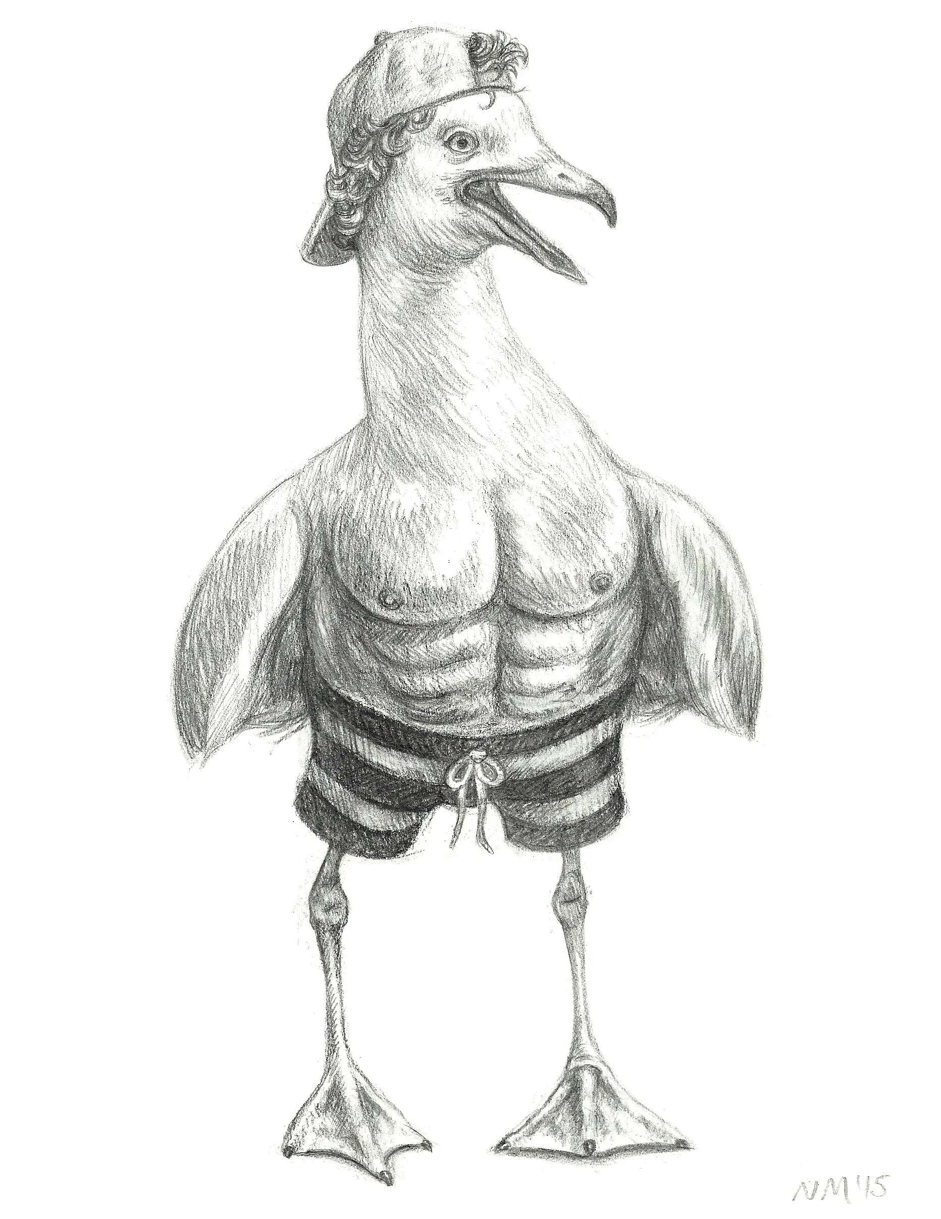 Sporty Seagull